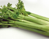 Celer (Apium Graveolens lat.)