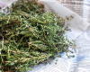 Timijan (Thymus Vulgaris L, T. Zygis Loef L.)