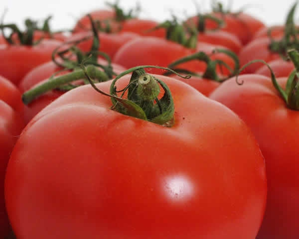 Nema više paradajza SA UKUSOM PARADAJZA