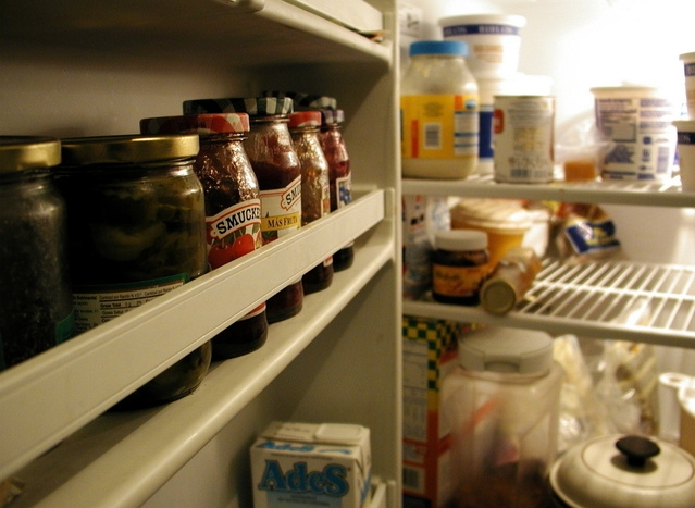 Opasnosti koje vrebaju iz frižidera tokom letnjih meseci