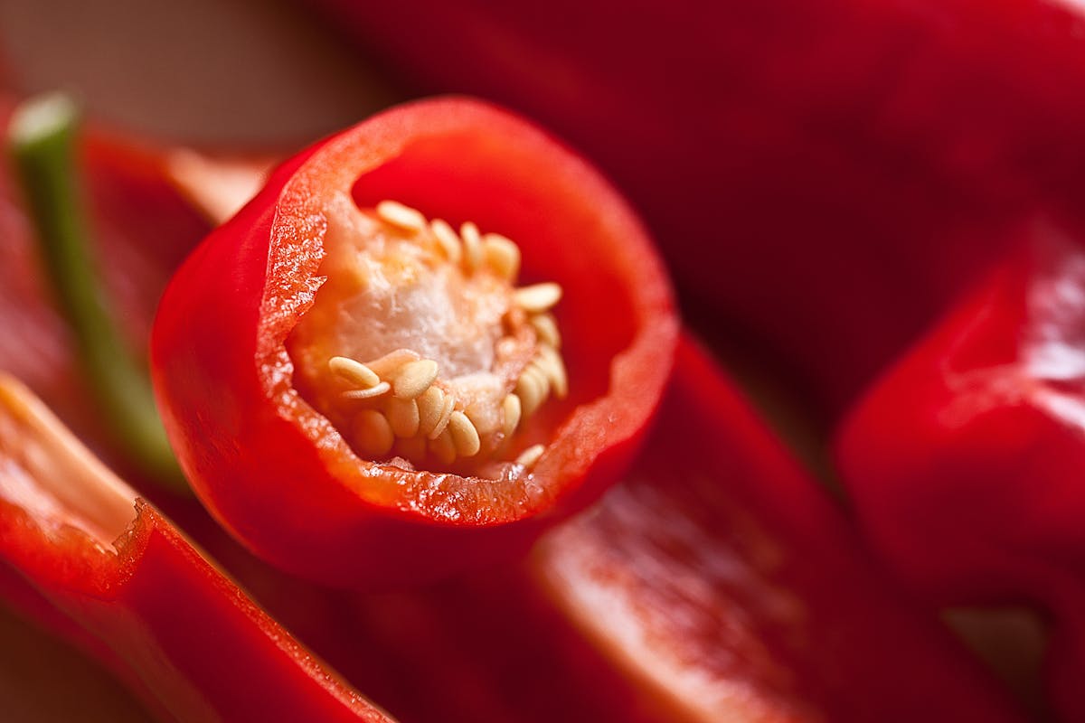 Čili paprika (Capsicum Anum L.)