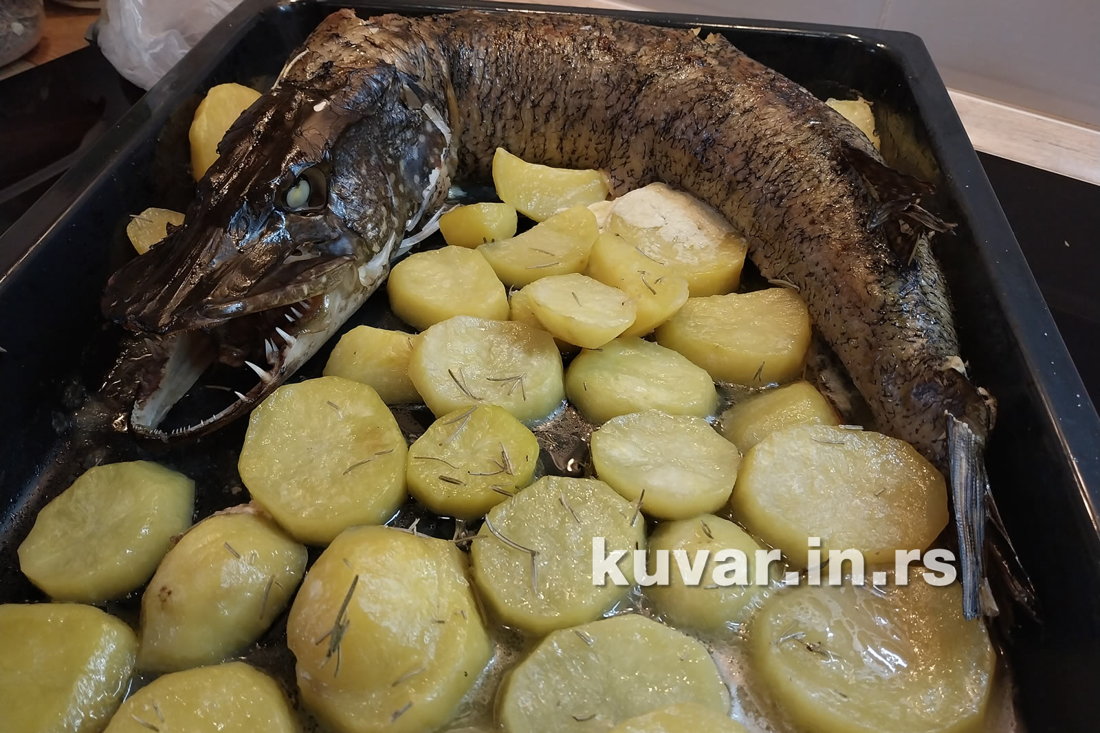 Punjena štuka